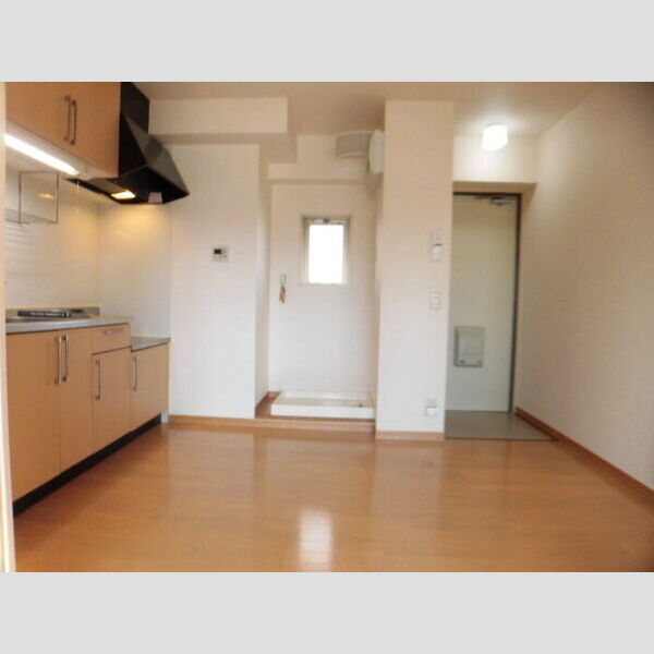 その他 (301　DK)