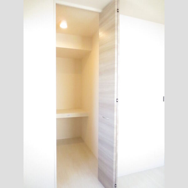 収納 (B101 ウォークインクローゼット)