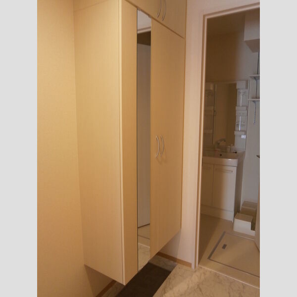 その他 (A106　シューズボックス)