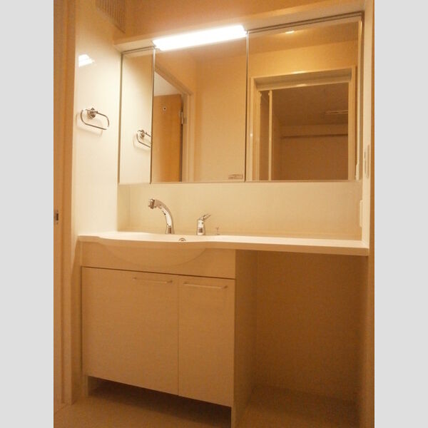 洗面所 (307　洗髪洗面化粧台)