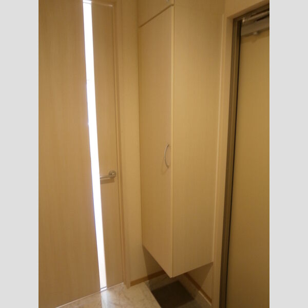 その他 (A103　玄関収納)