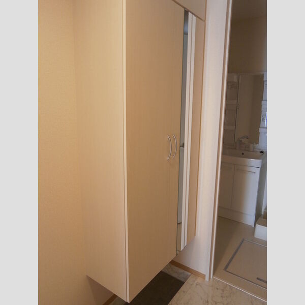 その他 (A103　シューズボックス)