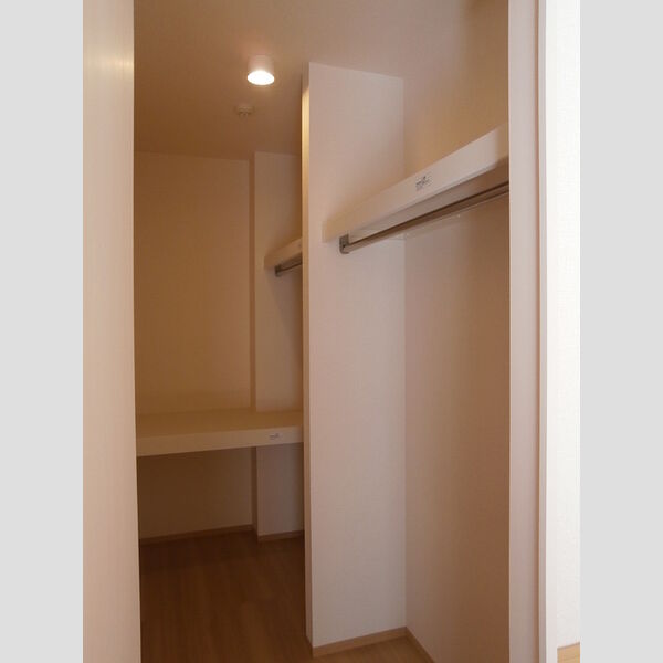 収納 (A103　ウォークインクローゼット)