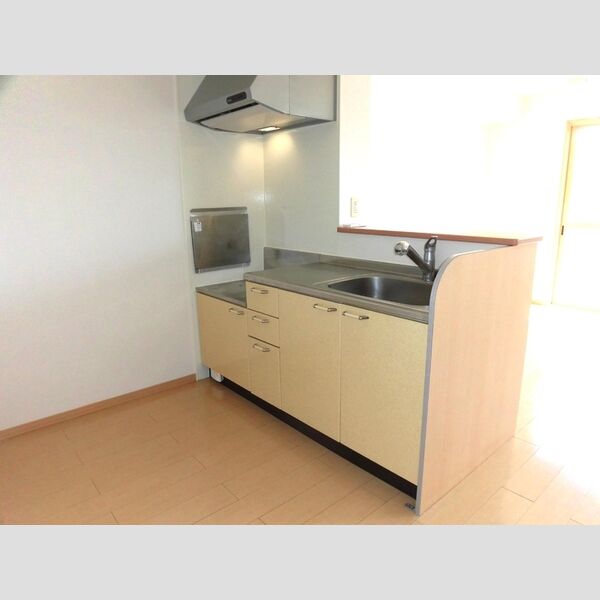 キッチン (202　対面キッチン)