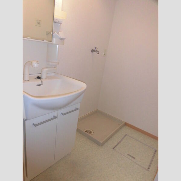 洗面所 (202　洗髪洗面化粧台・洗濯機置き場)