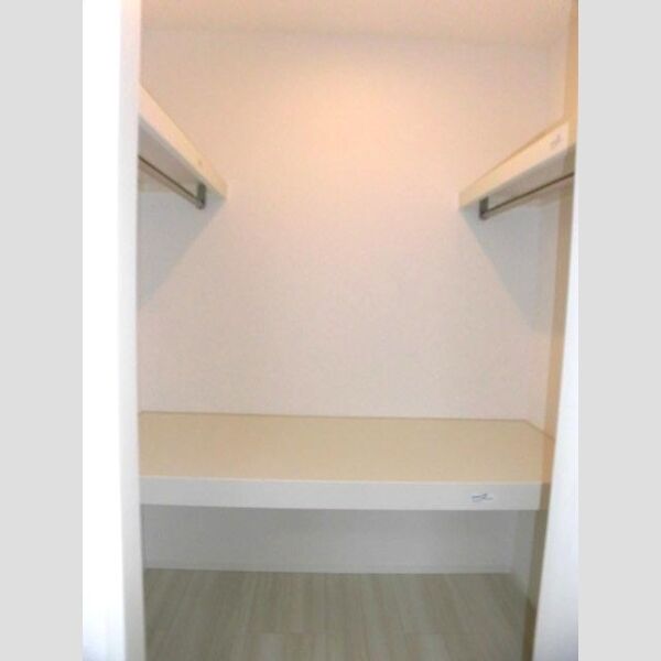 収納 (101 ウォークインクローゼット)