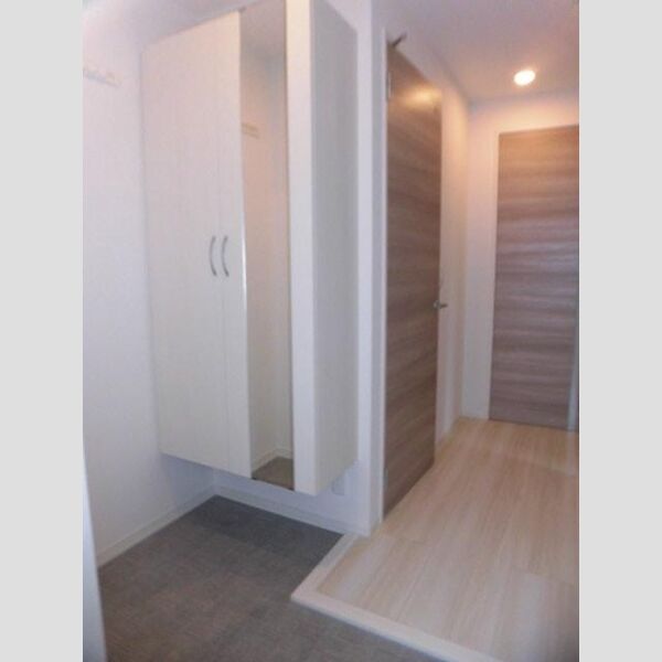 その他 (203　玄関)