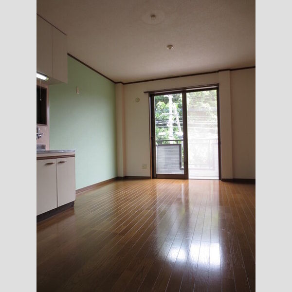 居室・リビング (203　リビングダイニングキッチン)