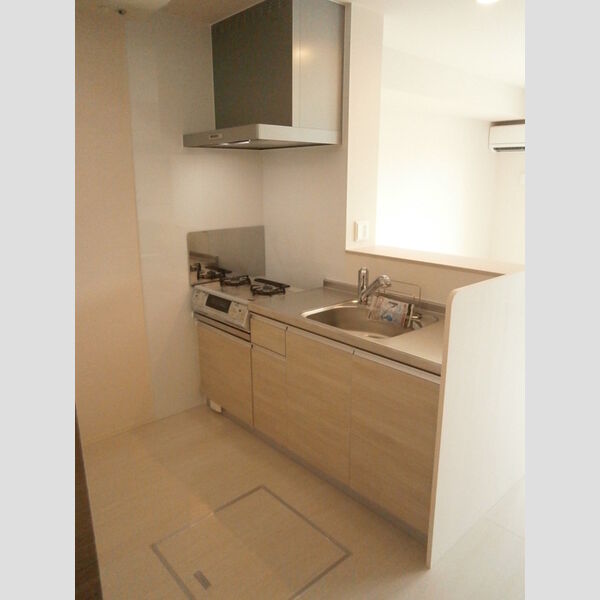 キッチン (107　床下収納付キッチン)