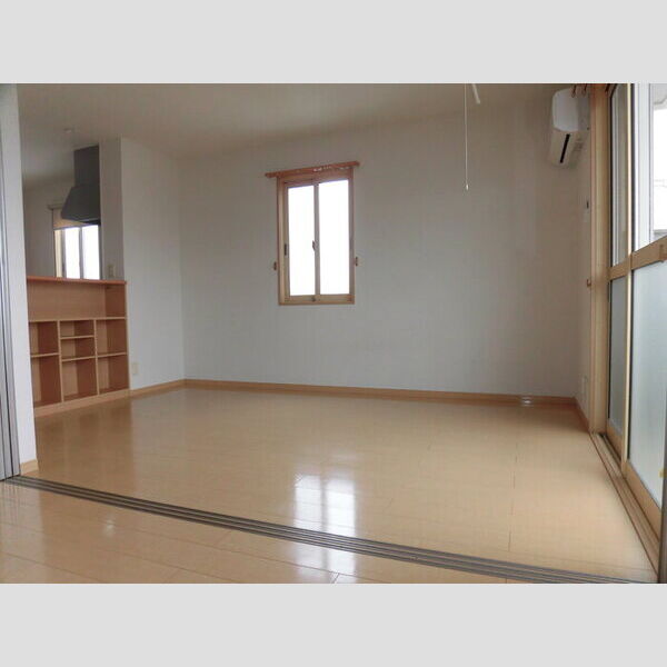 その他 (203　LDK)