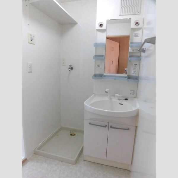 洗面所 (203　洗髪洗面化粧台・洗濯機置き場)