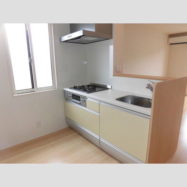 キッチン (201　対面キッチン)