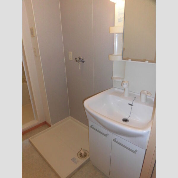 洗面所 (C207　洗髪洗面化粧台・洗濯機置き場)