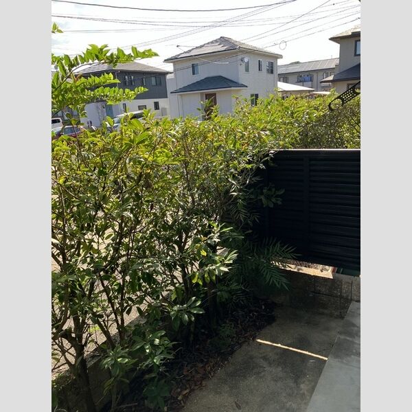 その他 (112 専用庭)