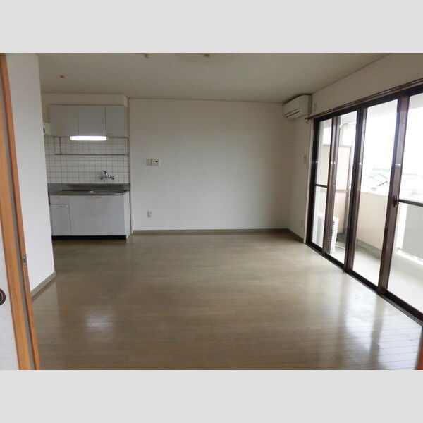 居室・リビング (405　LDK)