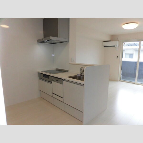 キッチン (B302 IHコンロ食器洗浄機付きキッチン)