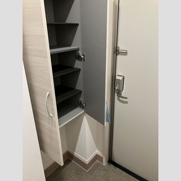 その他 (205　シューズボックス)