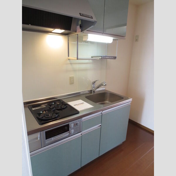 キッチン (201　ガスコンロ付システムキッチン)