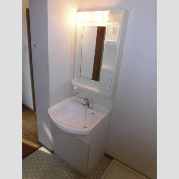 洗面所 (D棟103 洗面台)