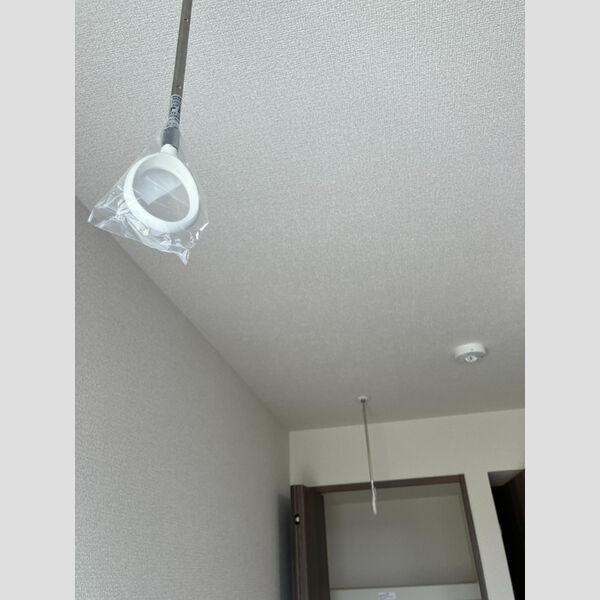 その他 (301)