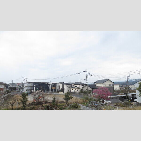 現地周辺 (眺望)