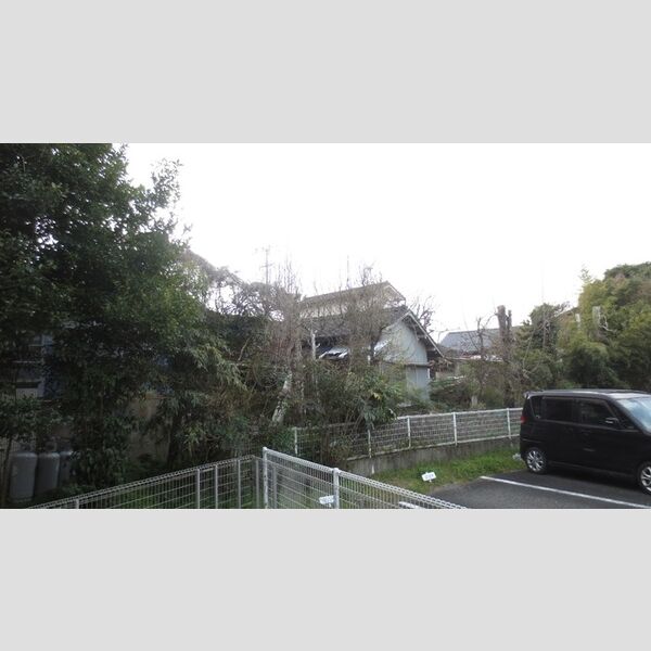 現地周辺 (眺望)