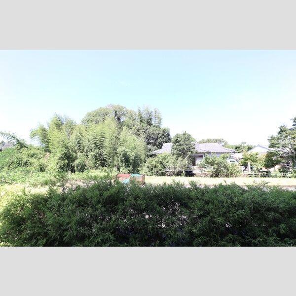 現地周辺 (眺望)