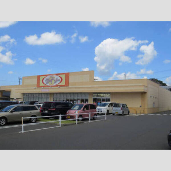 現地周辺 (ザ・ダイソー 鹿児島武岡店)
