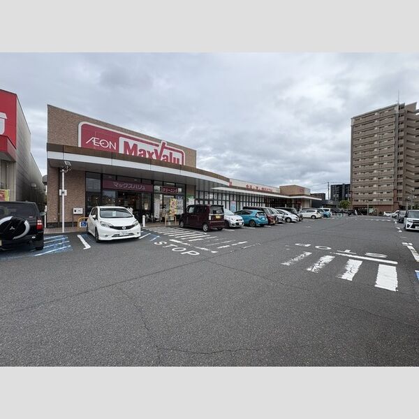 現地周辺 (マックスバリュ 国分店 500m)