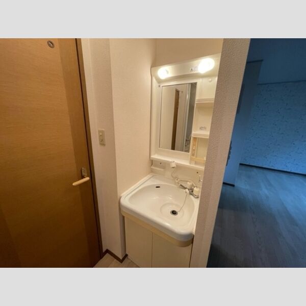 洗面所 (102　洗髪洗面化粧台)