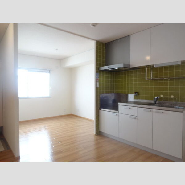 居室・リビング (203　LDK)