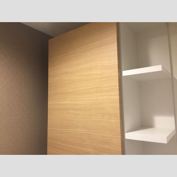 その他 (803号　トイレ収納)