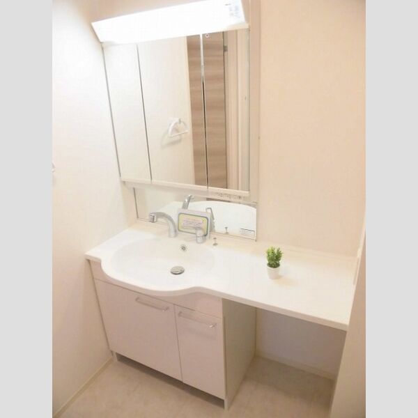 洗面所 (B棟101　洗髪洗面化粧台)