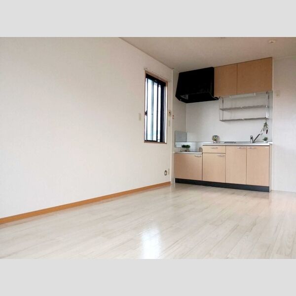 居室・リビング (203ダイニングキッチン)