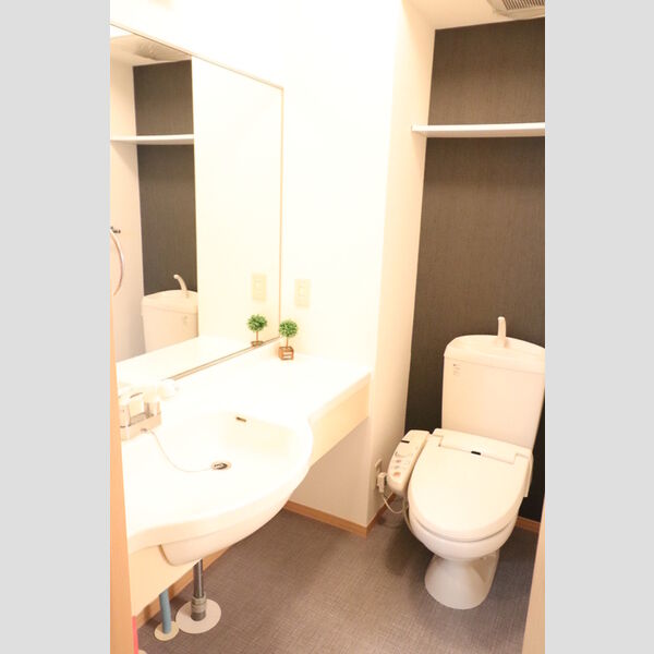 洗面所 (101　洗髪洗面化粧台)