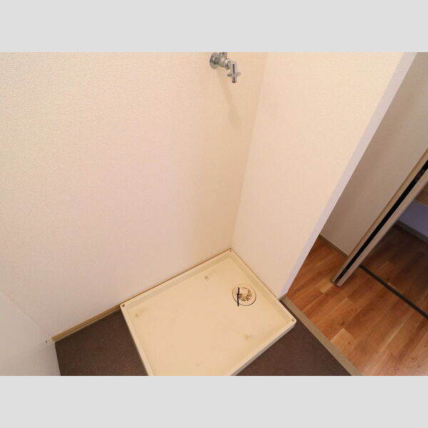 その他 (室内洗濯機置場)