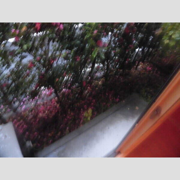 その他 (Ⅱ101　専用庭)