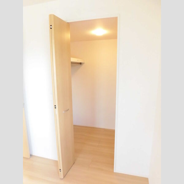 その他 (201　ウォークインクローゼット)