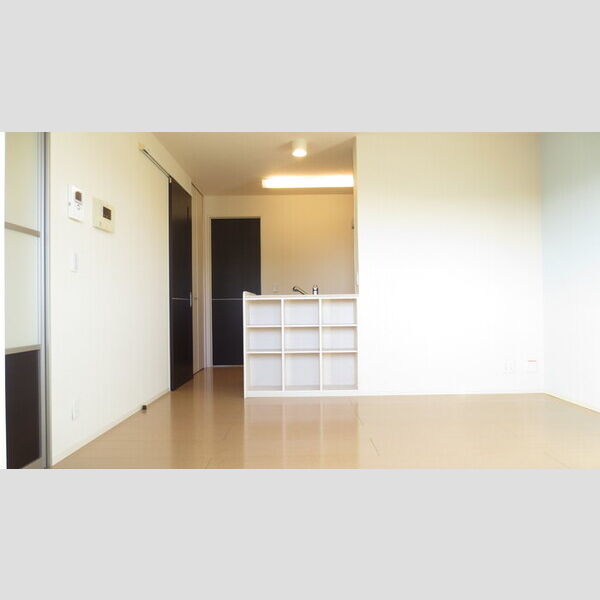 その他 (205　LDK)