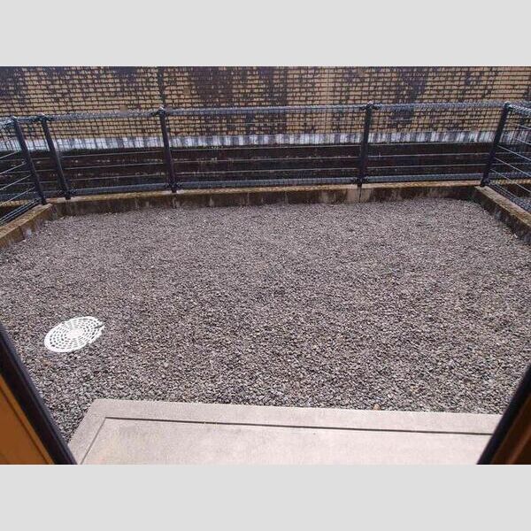 その他 (102専用庭)