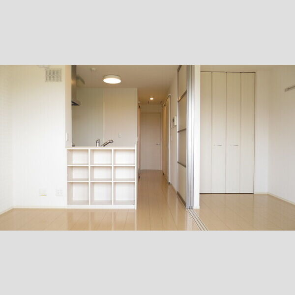 その他 (202　DK)