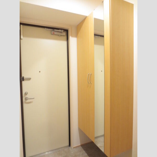 その他 (203　シューズボックス)