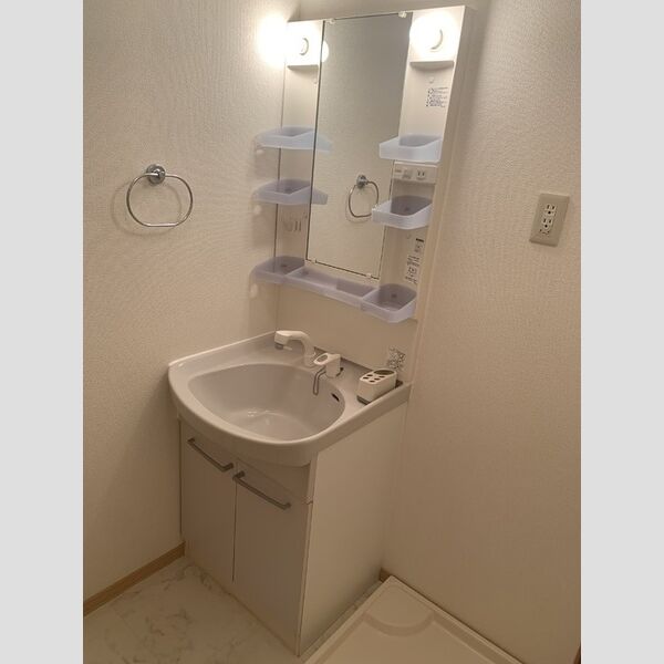 洗面所 (洗髪洗面化粧台)