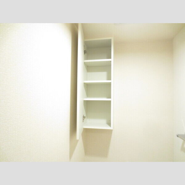 その他 (303 トイレ収納棚)