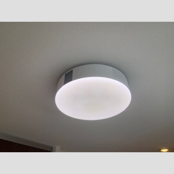 その他 (101ポップインアラジン)