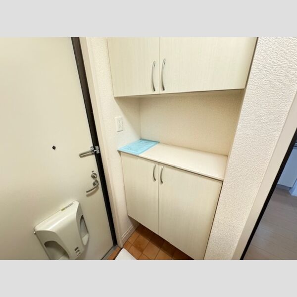 収納 (A101　シューズボックス(吊戸タイプ))