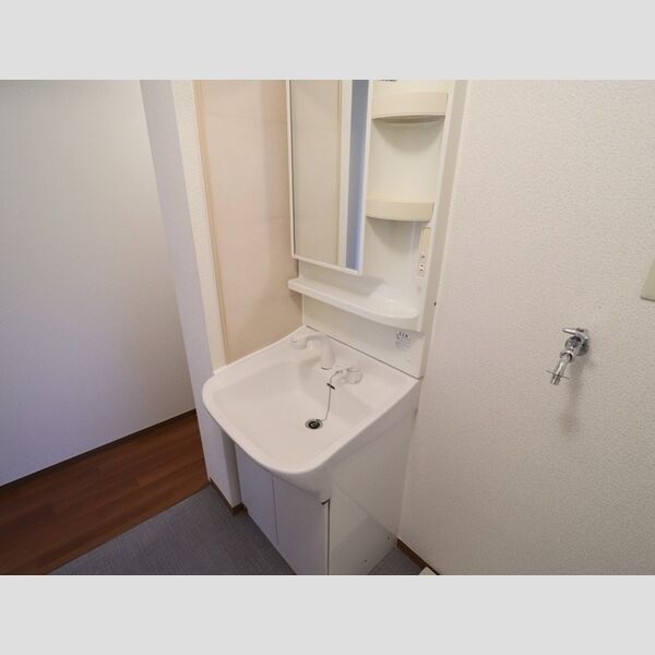 洗面所 (洗髪洗面化粧台)