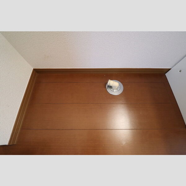 その他 (101 室内洗濯機置き場)
