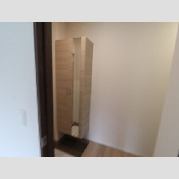 玄関 (シューズボックス)