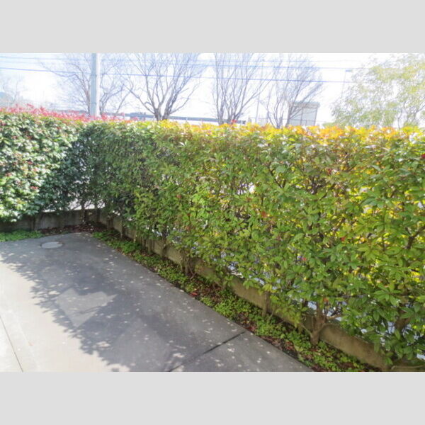 その他 (A102 専用庭)